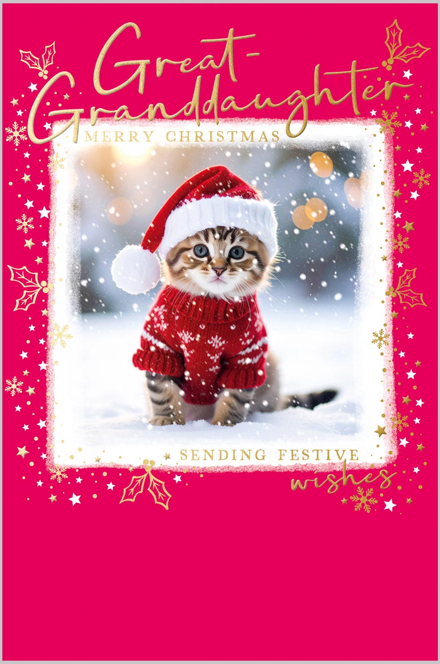 Great-Granddaughter Kitten in Christmas Jumpe