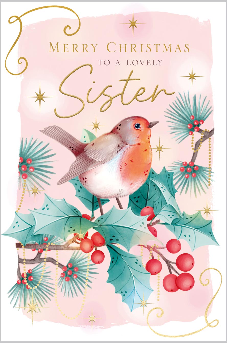 Sister Christmas Robin