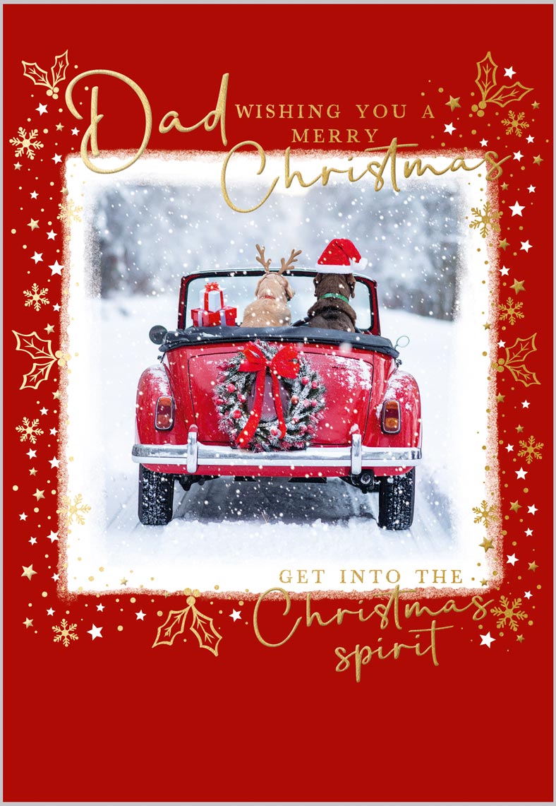 Dad Driving Home For Christmas