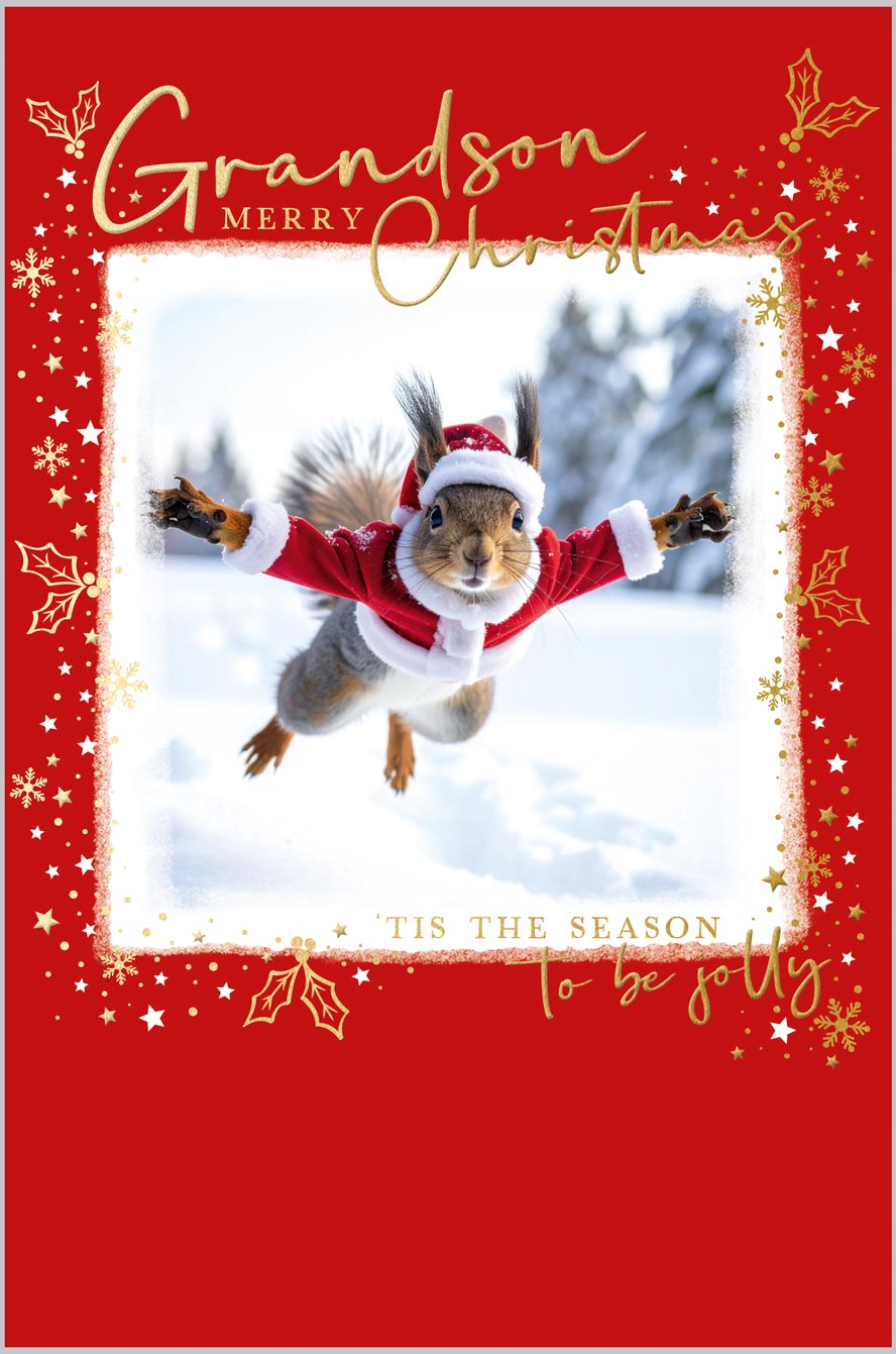 Grandson Flying Squirrel