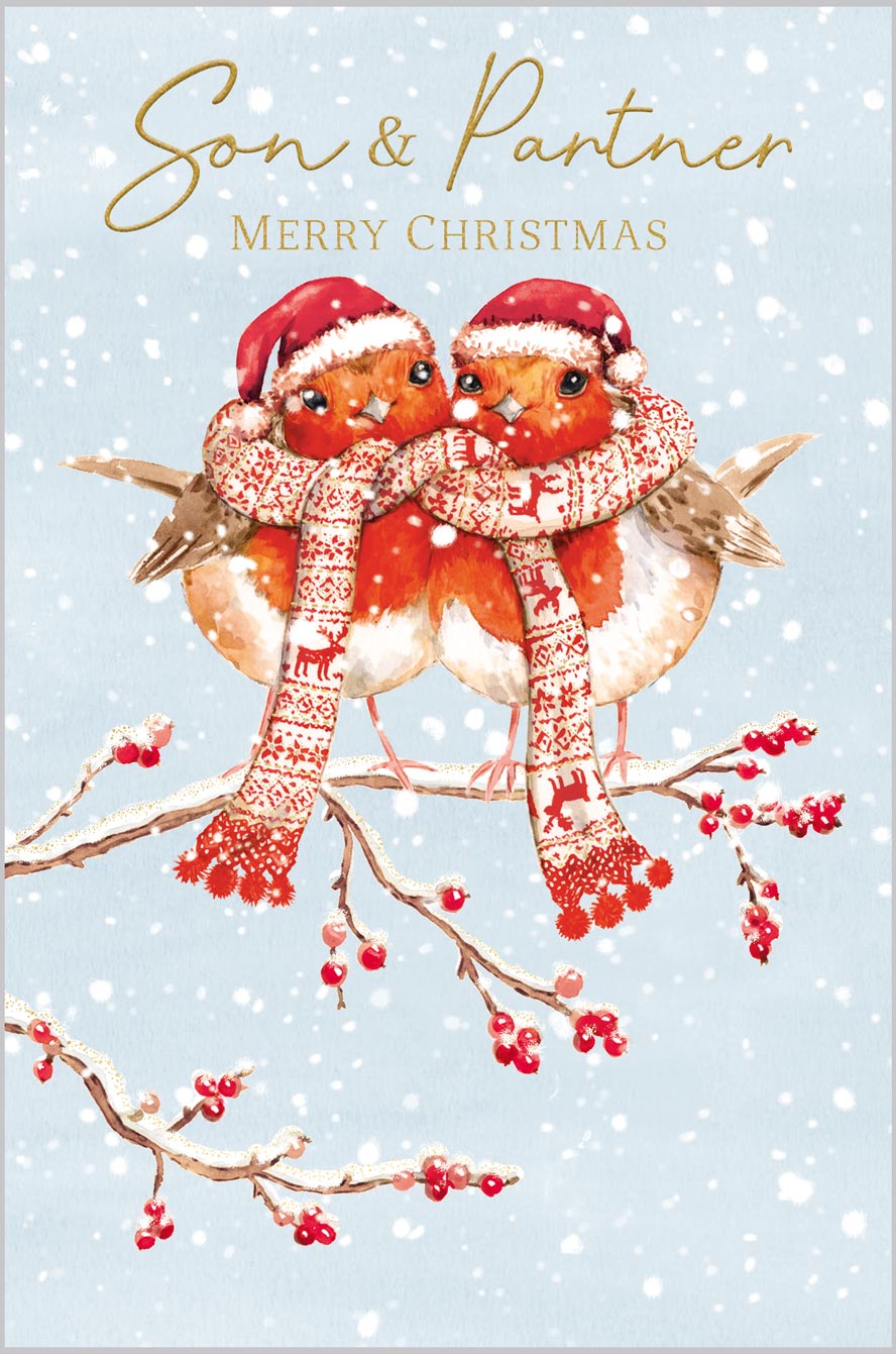 Son and Partner Cosy Robin Couple