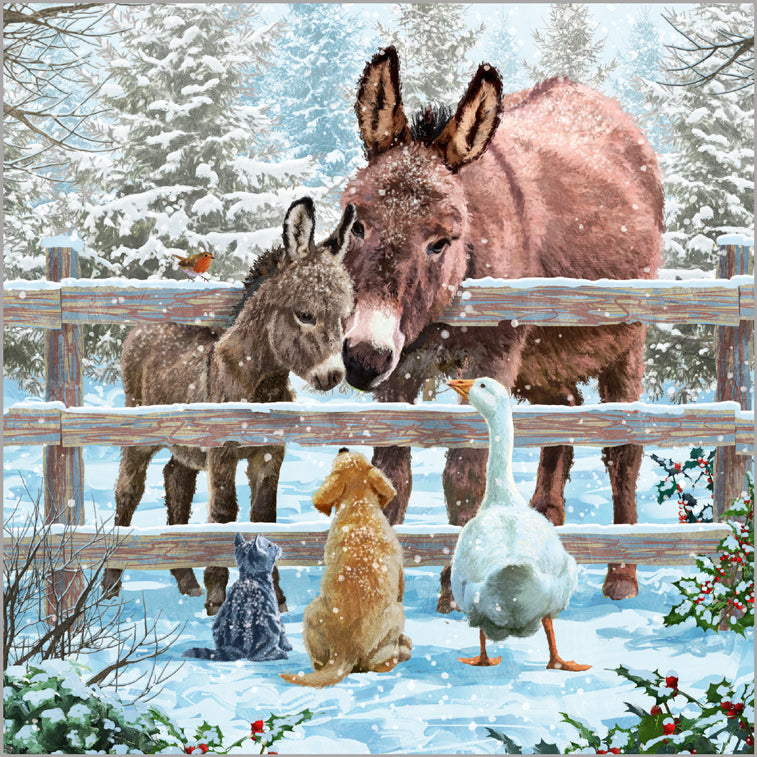 Donkey and Friends