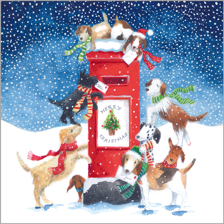 Dogs and Postbox