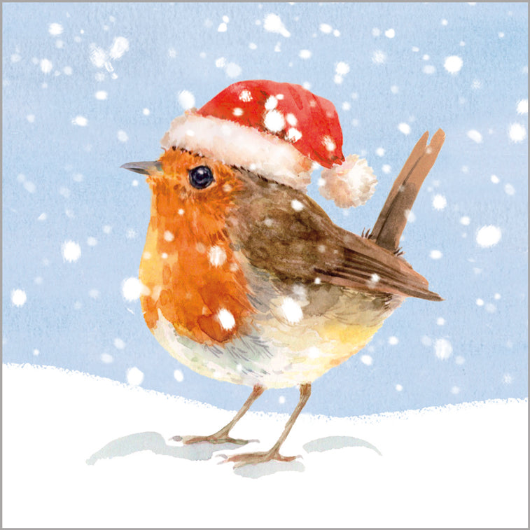 Santa Robin