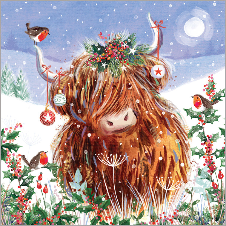 Highland Cow