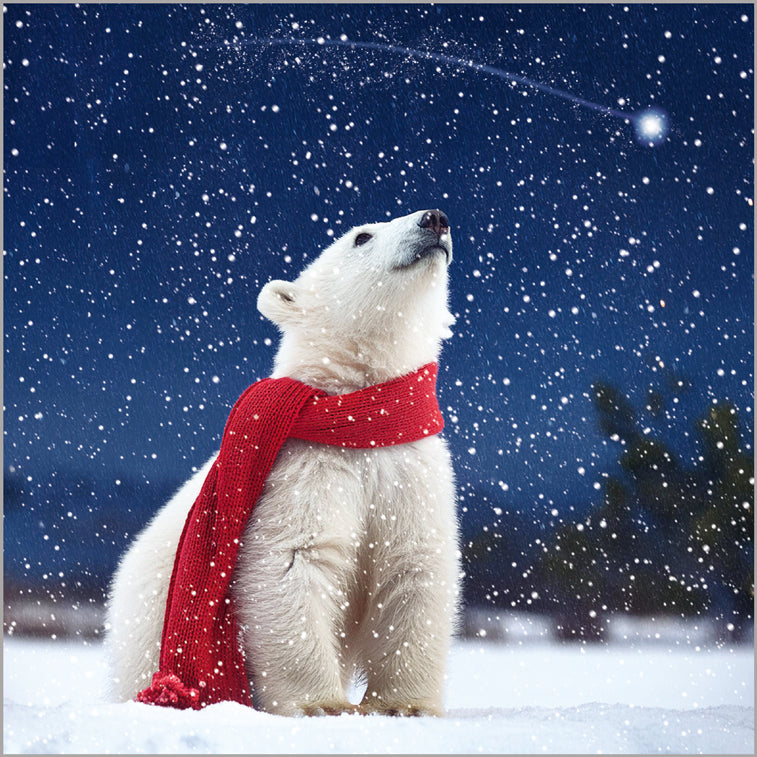 Polar Bear in Snow