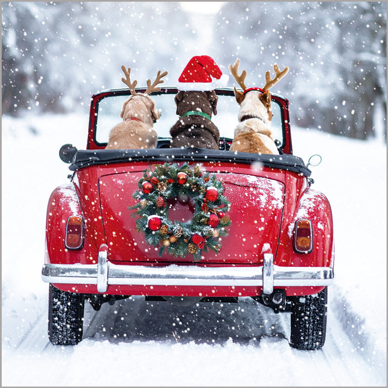 Driving Home For Christmas