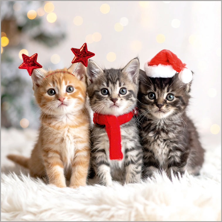 Three Festive Kittens
