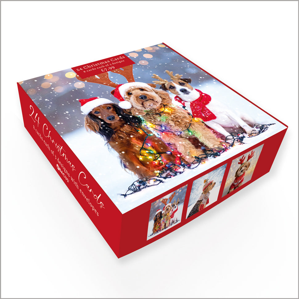 Festive Dogs (15730C1/C2/C3)