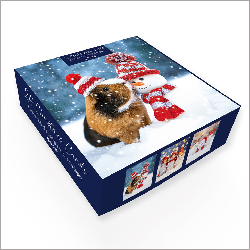 Fun Festive Animals (15732C1/C2/C3)