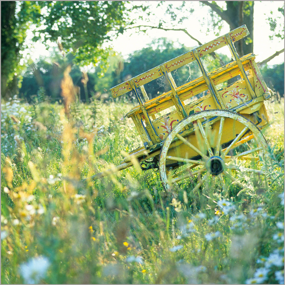 Painted Vintage Cart in Wildflower Meadow