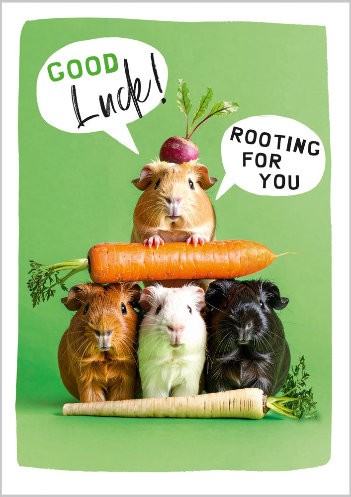 Good Luck Rooting for You