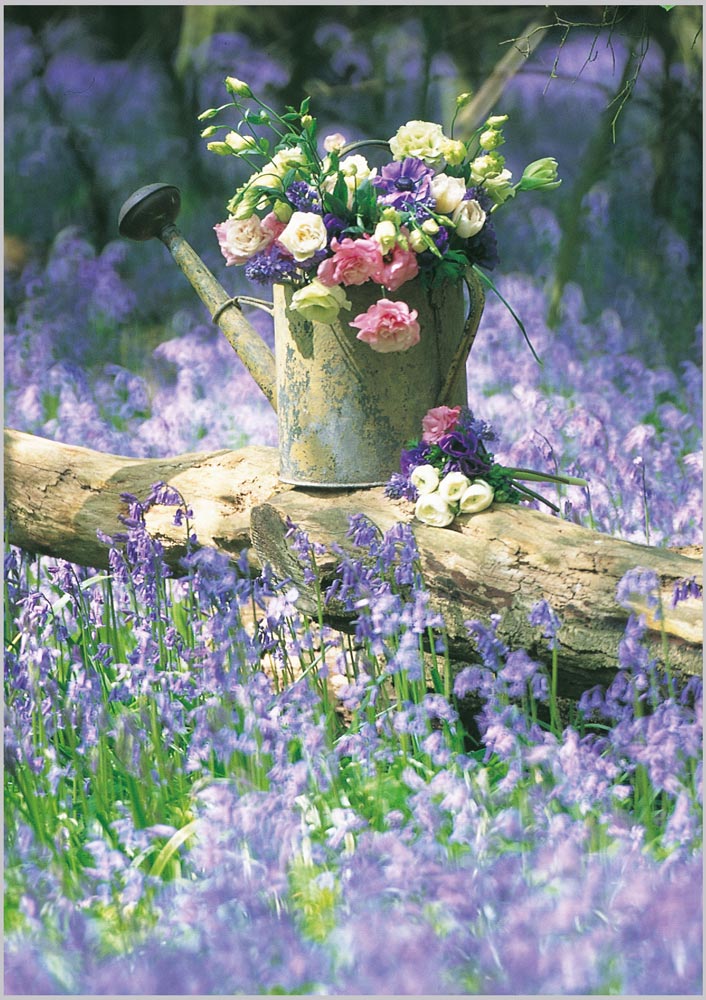 Bluebell Haze