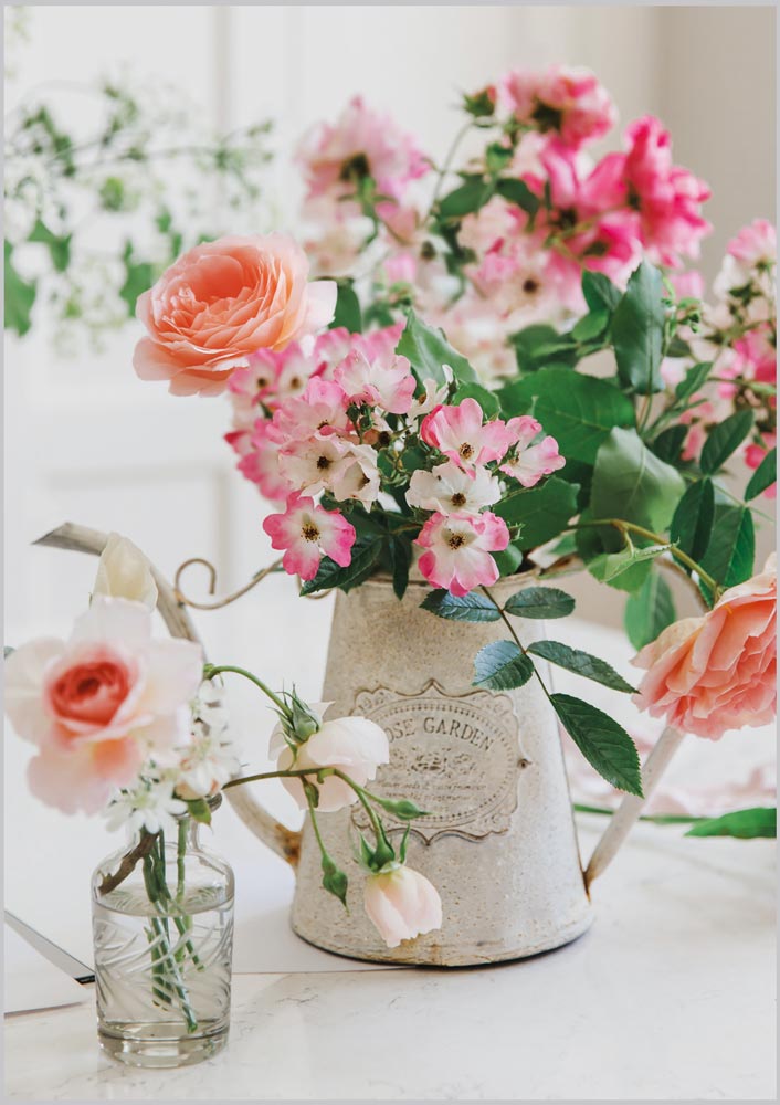Garden Roses