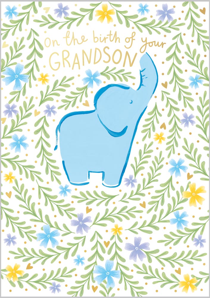 Birth of Grandson Elephant