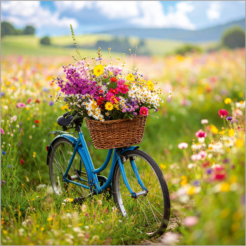 Meadow Flowers Bicycle