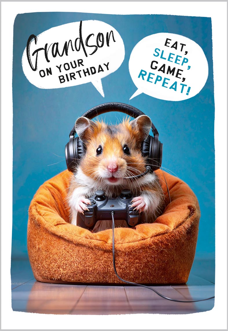Grandson Birthday Funny Gaming Hamster