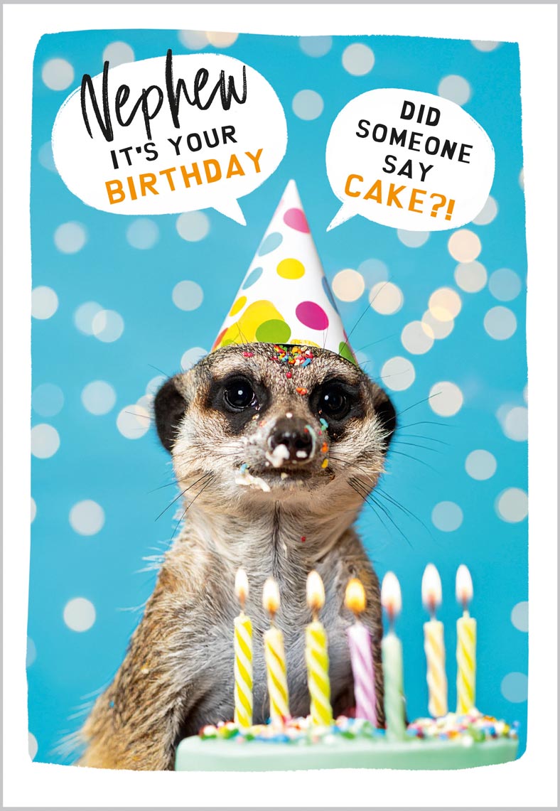 Nephew Birthday Funny Meerkat