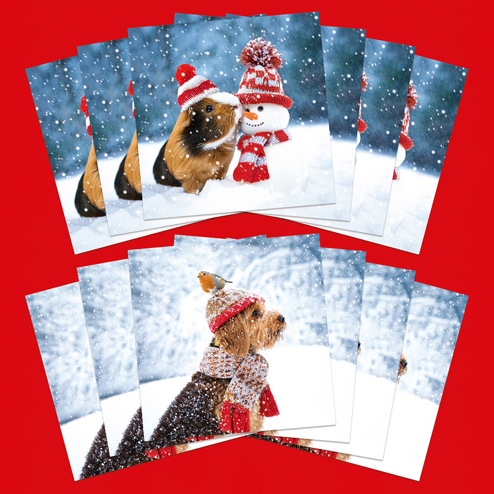 Snowy Animals | 12 Christmas Cards, 2 Designs