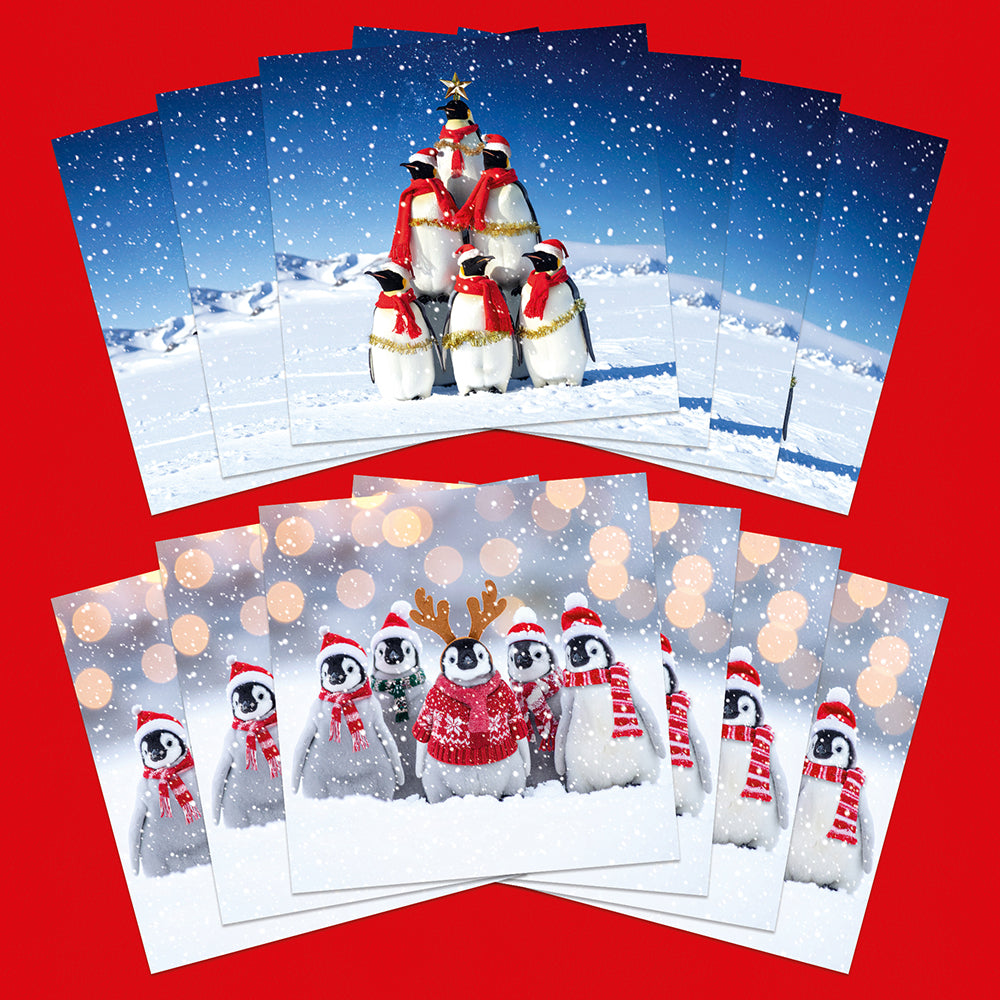 Polar Animals | 12 Christmas Cards, 2 Designs