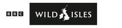Bbcwi Bbcwi