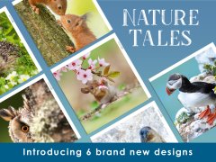 Celebrating British Wildlife Through the Lens