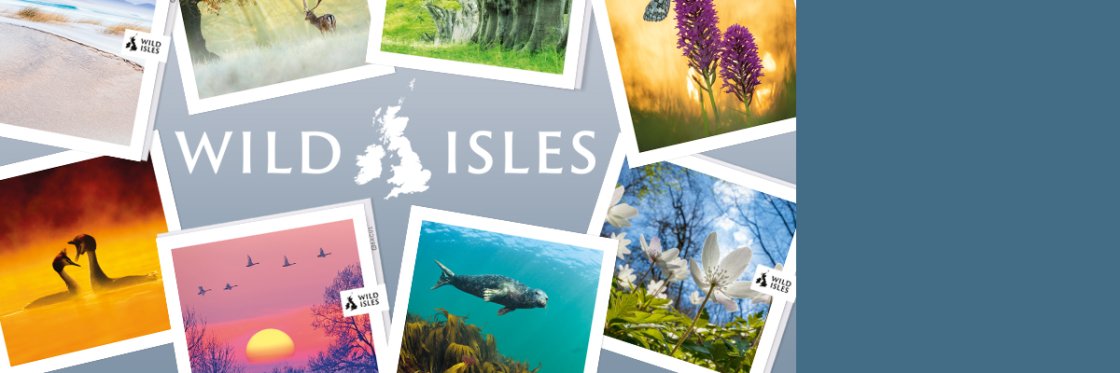 Wild Isles Wild Isles
