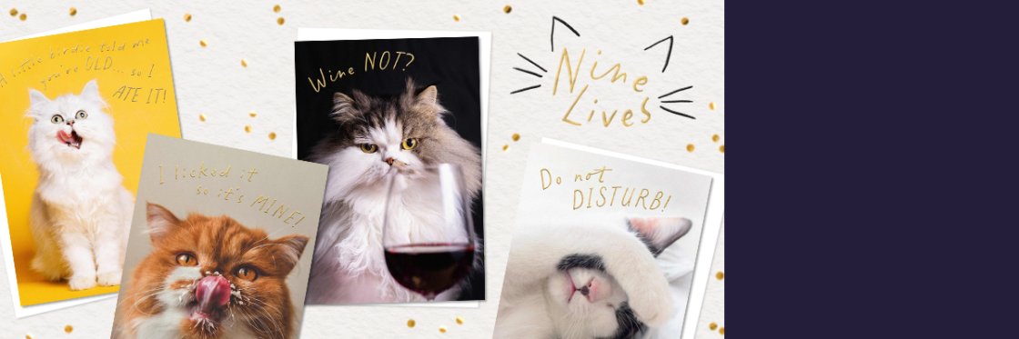 Nine Lives Nine Lives
