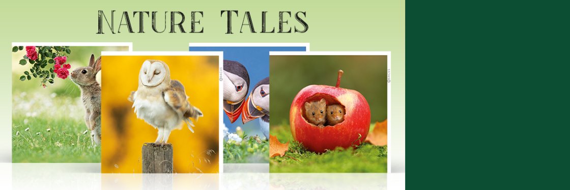 Nature Tales Nature Tales