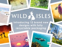 Introducing BBC Wild Isles our Brand New Licensed Photographic Range Introducing BBC Wild Isles our Brand New Licensed Photographic Range